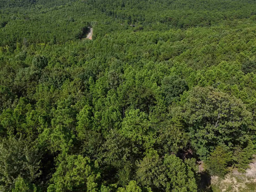 Lot 10 Polk Road 78, Mena, AR 71953 - Image #3