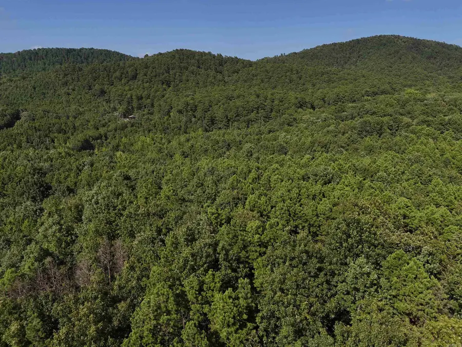 Lot 11 Polk Road 78, Mena, AR 71953 - Image #2