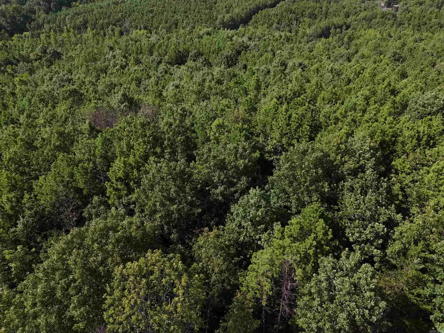 Lot 11 Polk Road 78, Mena, AR 71953 - Image #3