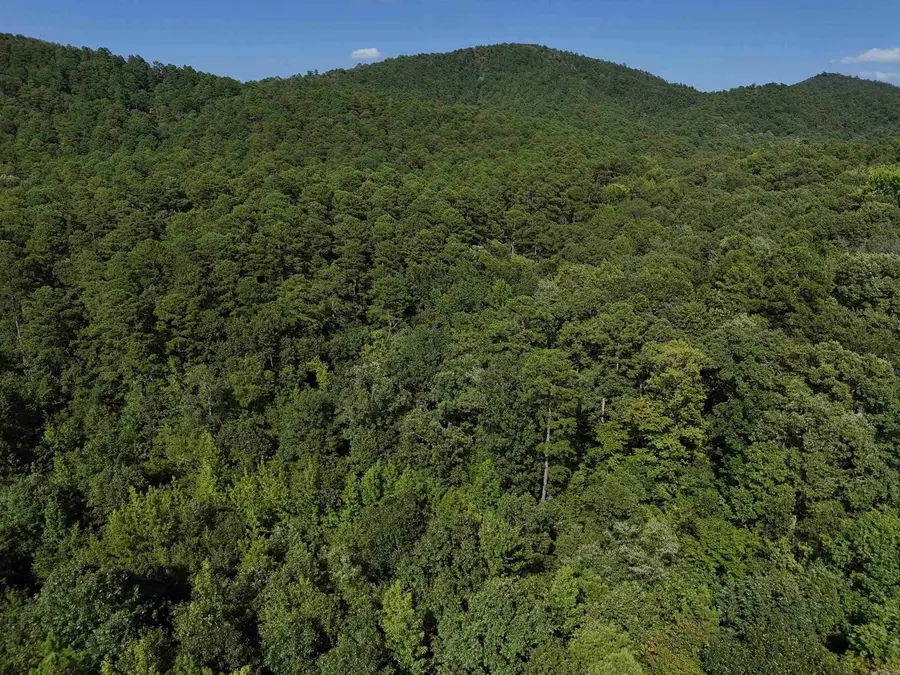 Lot 13 Polk Road 78, Mena, AR 71953 - Image #2