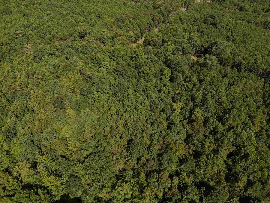 Lot 18 Polk Road 78, Mena, AR 71953 - Image #2