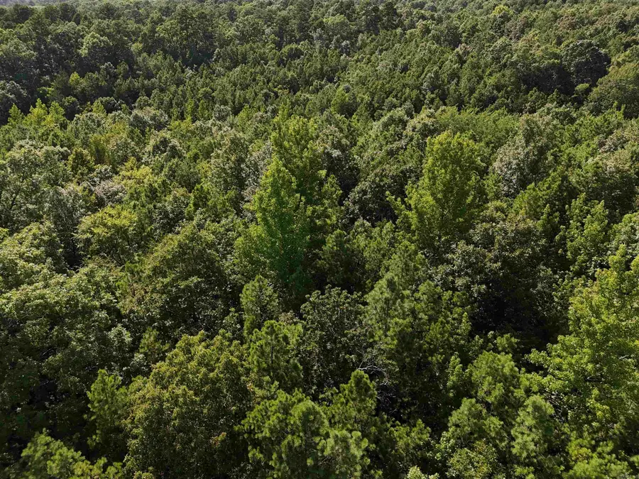 Lot 18 Polk Road 78, Mena, AR 71953 - Image #3