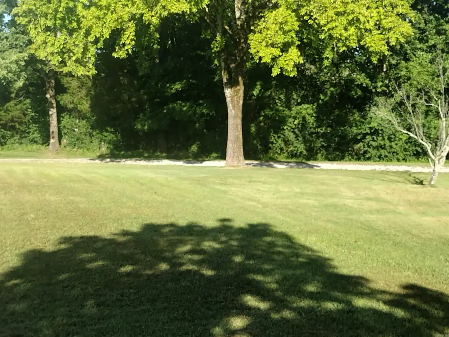 601 South Peabody, Mountain View, AR 72560 - Image #3