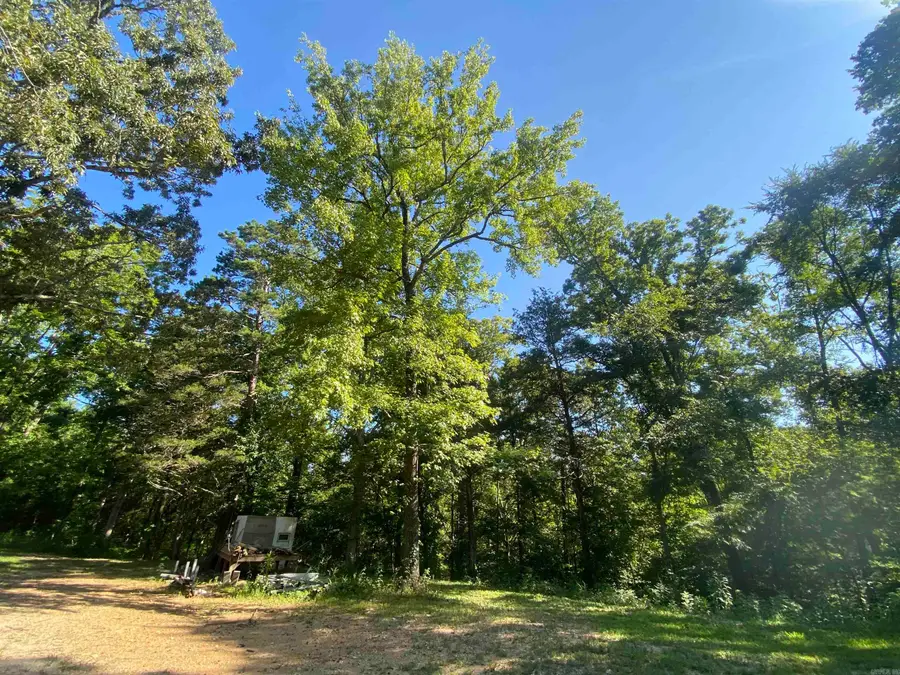 42 Dusty Trail, Story, AR 71970 - Image #2