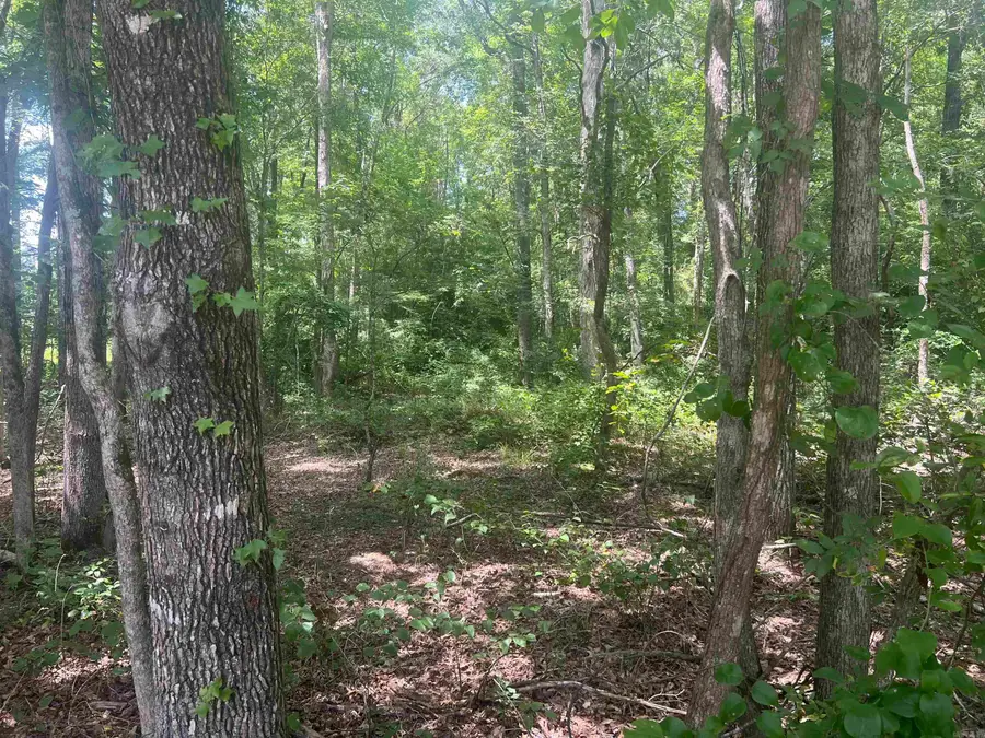 00 Dixon Ln, Pine Bluff, AR 71603 - Image #2