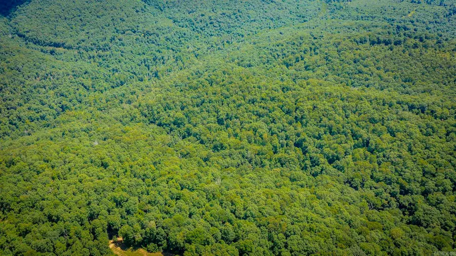 00 Rex Road, Clinton, AR 72031 - Image #2