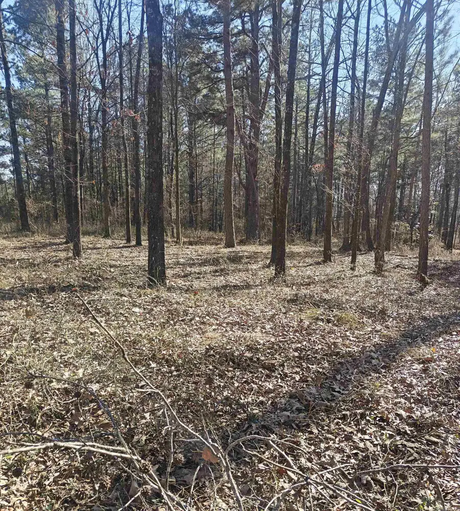 00 Valentine Road, North Little Rock, AR 72117 - #3