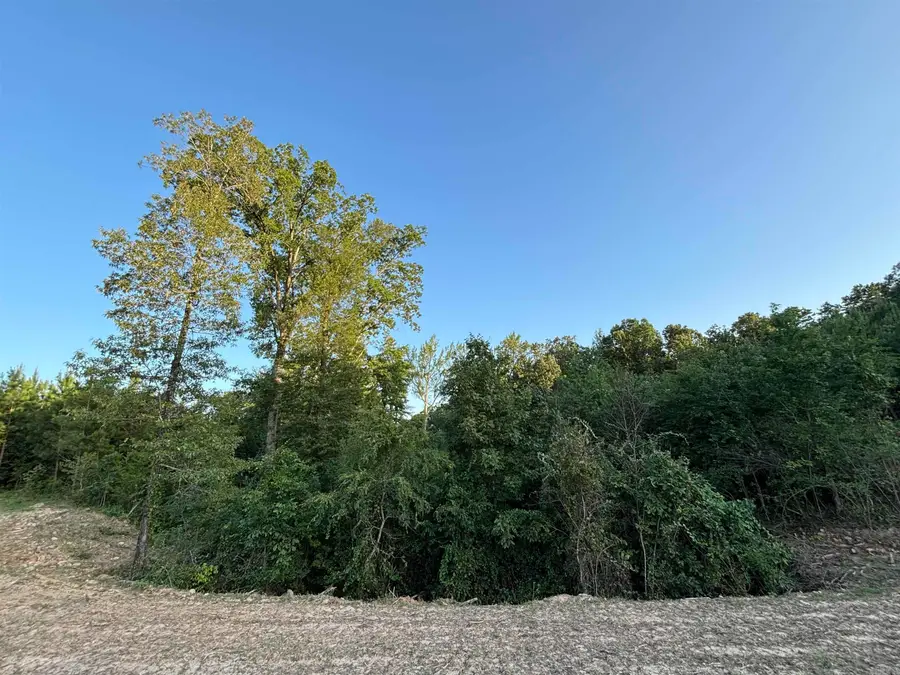 Tract 2A Avalon Lake Lane, Mena, AR 71953 - Image #3