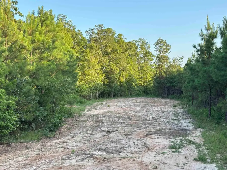 Tract 2C Avalon Lake Lane, Mena, AR 71953 - Image #3