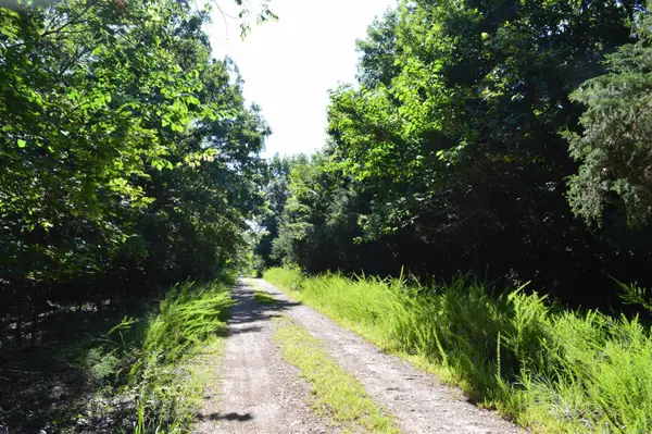 Address Withheld By Seller, Lead Hill, AR 72687