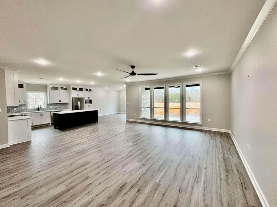 46 Addi Ln, Conway, AR 72032 - Image #3