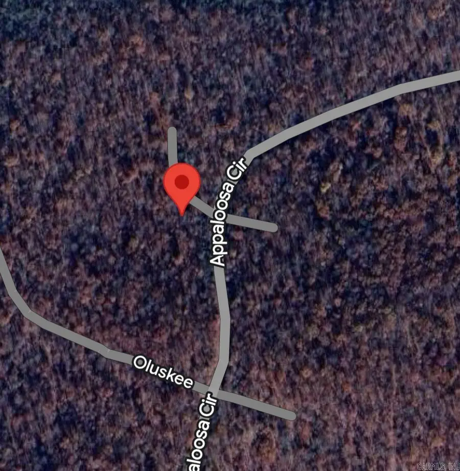 Lot 02 Wimic Trace, Cherokee Village, AR 72529 - Image #2