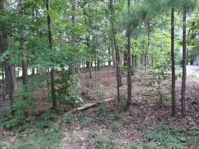 12 Acceso Circle, Hot Springs Village, AR 71909 - Image #2