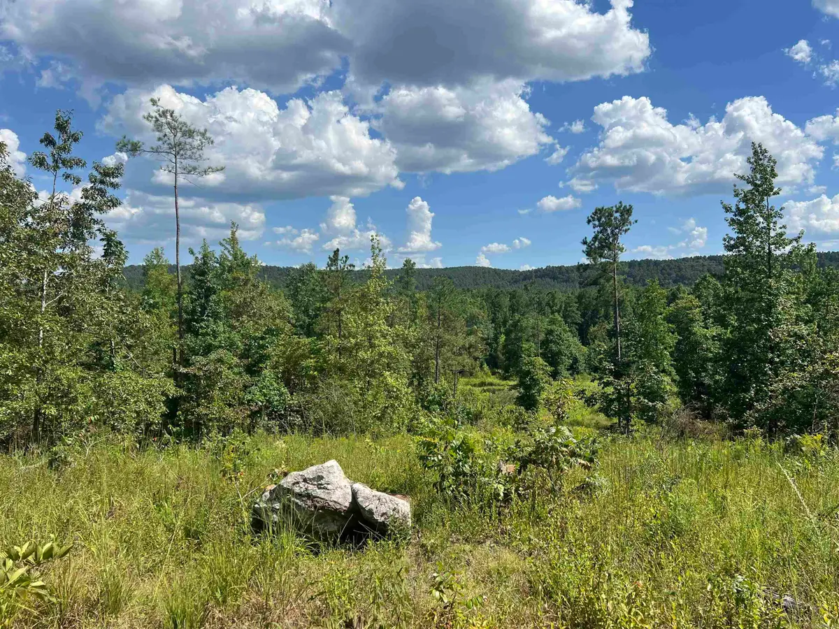 776 John Ashley, Amity, AR 71921 - Image #1