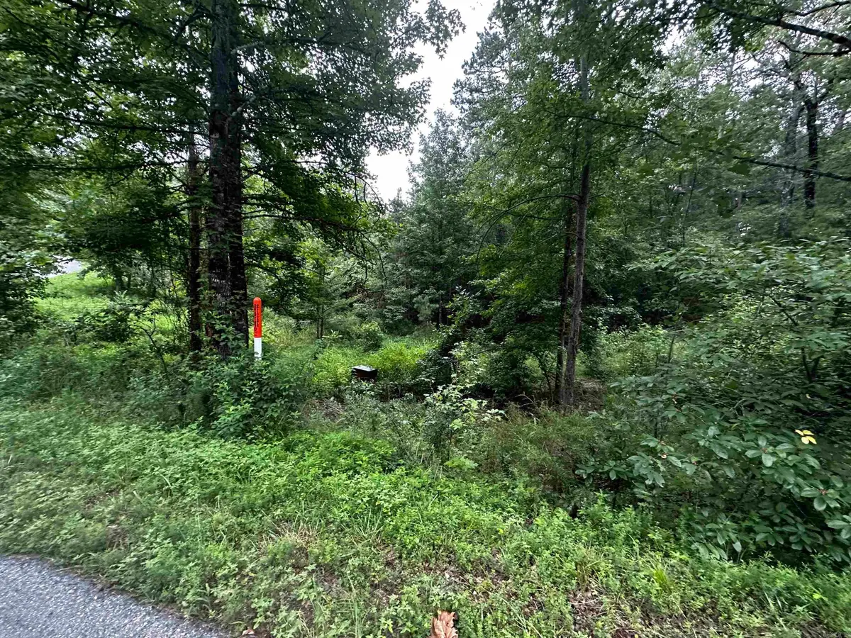 Lot 48 Cobalt Bay Drive, Shirley, AR 72153 - Image #1