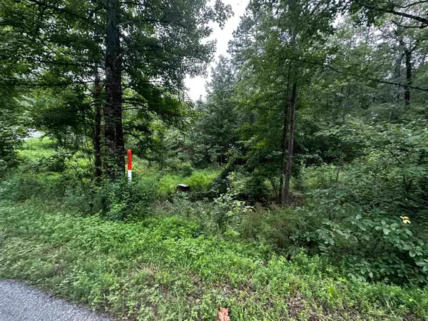 Lot 48 Cobalt Bay Drive, Shirley, AR 72153