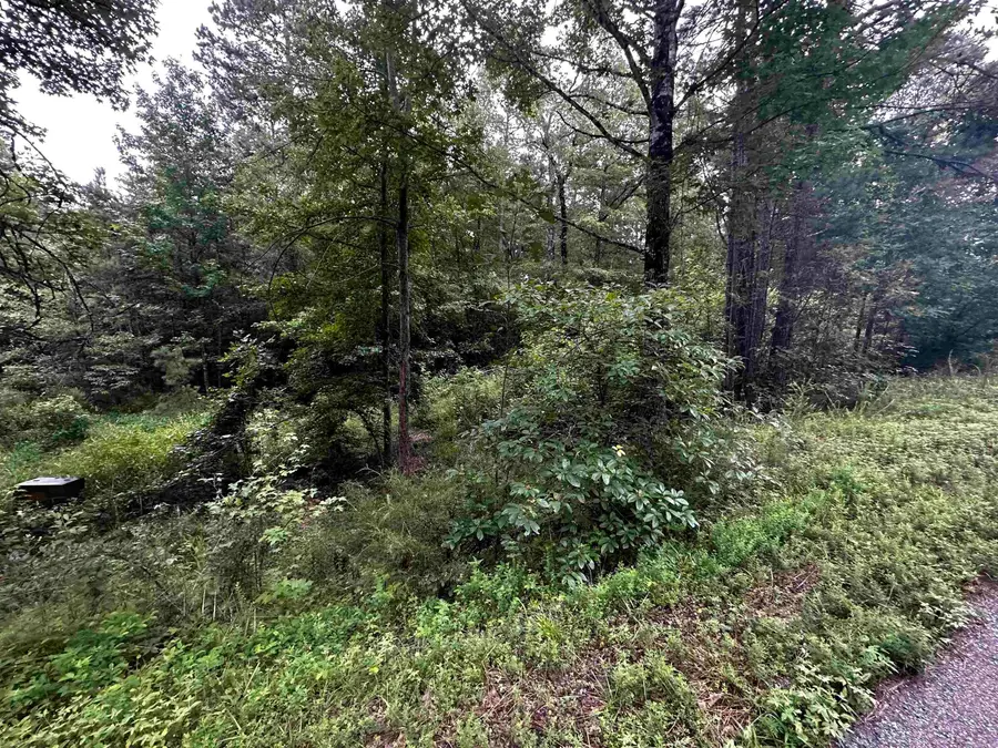 Lot 48 Cobalt Bay Drive, Shirley, AR 72153 - Image #2