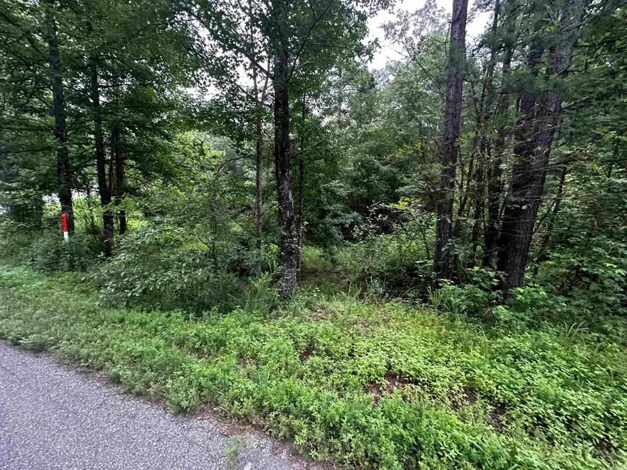 Lot 48 Cobalt Bay Drive, Shirley, AR 72153 - Image #3