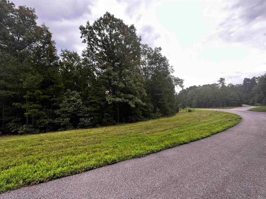 Lot 64 Cobalt Bay Drive, Shirley, AR 72153 - Image #3