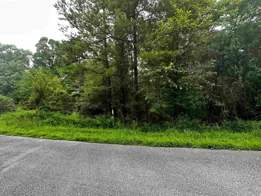 Lot 66 Cobalt Bay Drive, Shirley, AR 72153 - Image #3