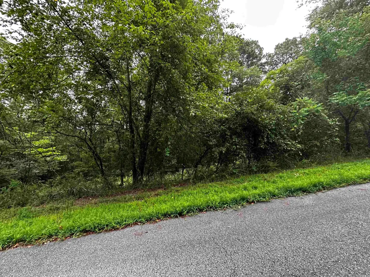 Lot 67 Cobalt Bay Drive, Shirley, AR 72153 - Image #1