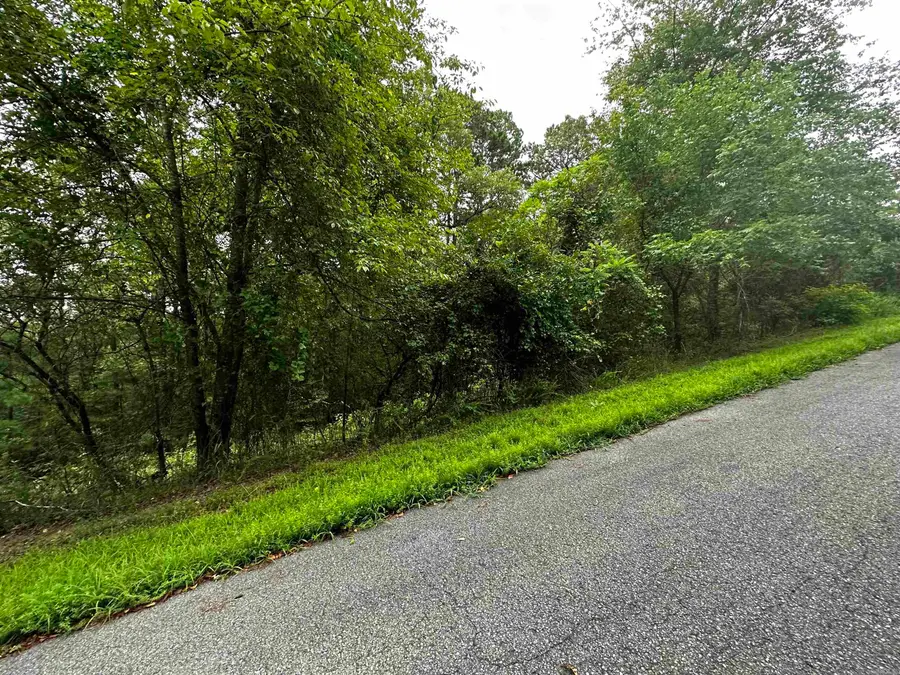 Lot 67 Cobalt Bay Drive, Shirley, AR 72153 - Image #3