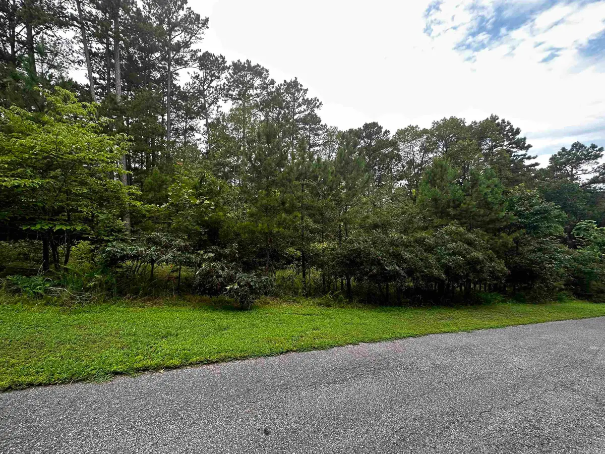 Lot 94 Cobalt Bay Drive, Shirley, AR 72153 - Image #1