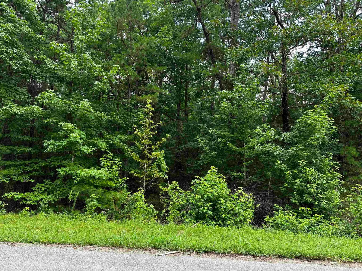 Lot 106 Cobalt Bay Drive, Shirley, AR 72153 - Image #1