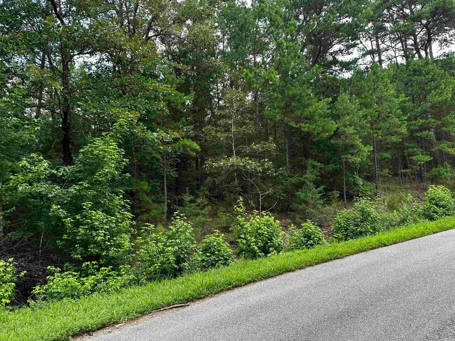 Lot 106 Cobalt Bay Drive, Shirley, AR 72153 - Image #3