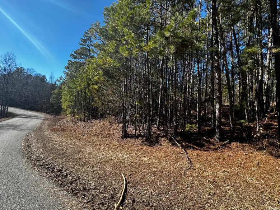 Lot 108 Cobalt Bay Drive, Shirley, AR 72153 - Image #2