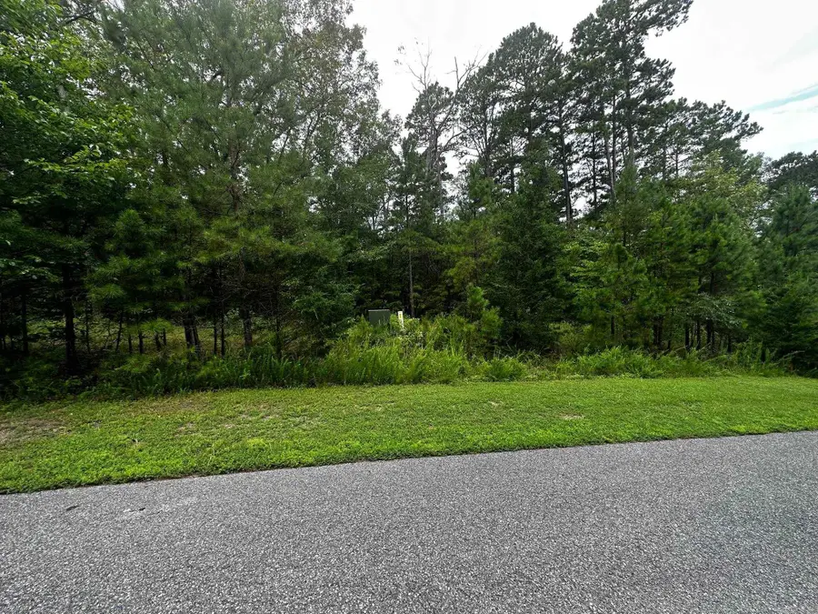 Lot 88 Cobalt Bay Drive, Shirley, AR 72153 - Image #2