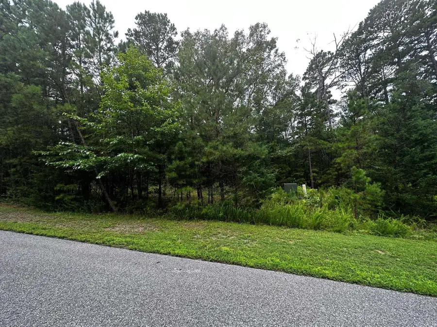 Lot 88 Cobalt Bay Drive, Shirley, AR 72153 - Image #3