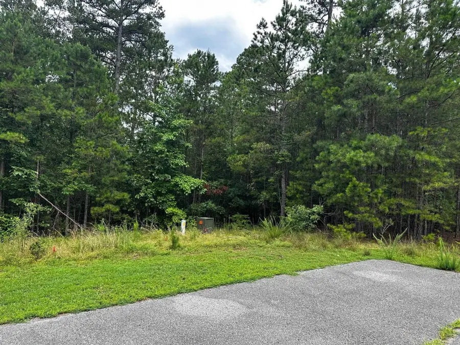 Lot 91 Cobalt Bay Drive, Shirley, AR 72153 - Image #3