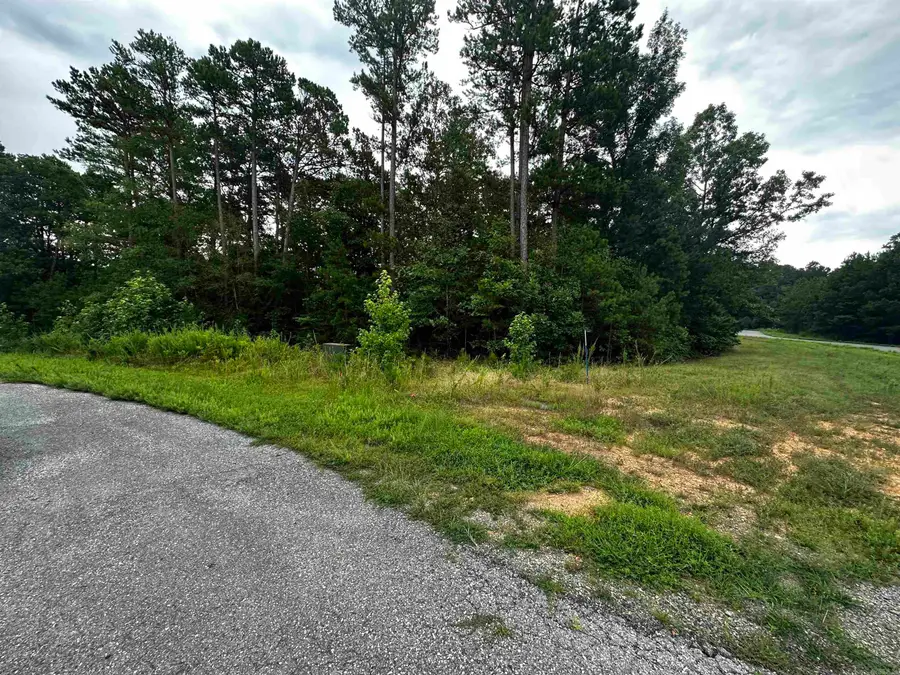 Lot 62 Green Creek Trl, Shirley, AR 72153 - Image #3