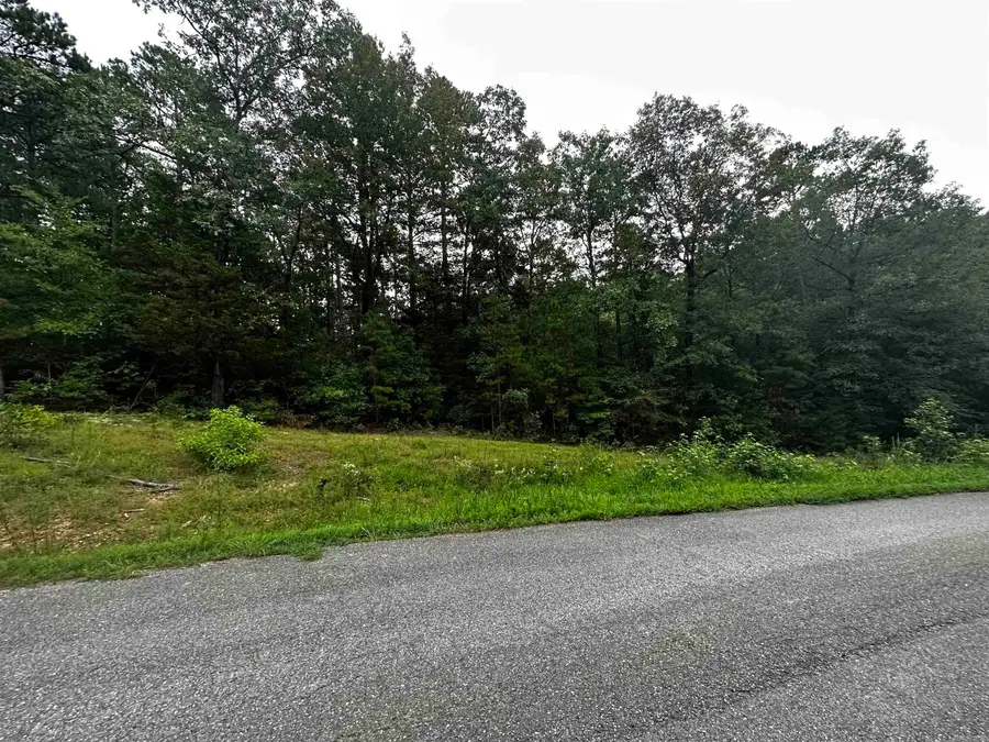 Lot 47 Cobalt Bay Drive, Shirley, AR 72153 - Image #2