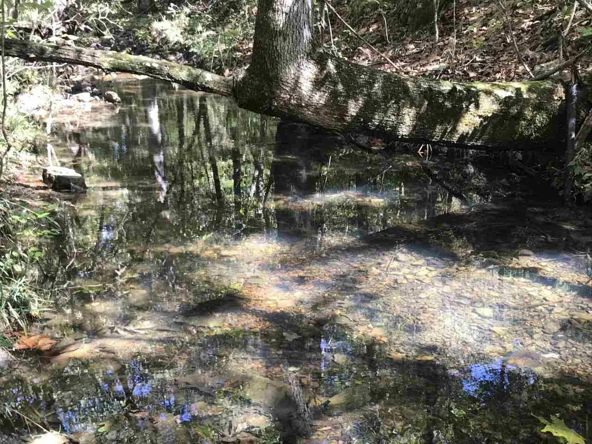 96 acres Powell Hollow Road, Williford, AR 72482 - Image #1