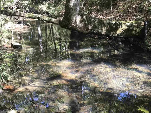 96 acres Powell Hollow Road, Williford, AR 72482