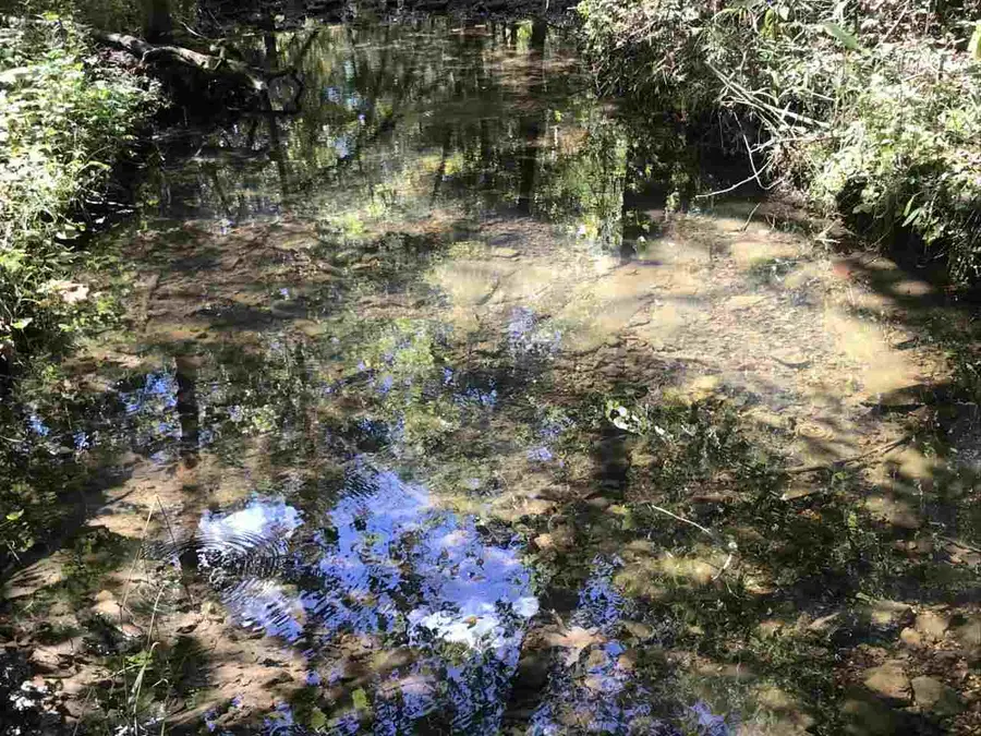 96 acres Powell Hollow Road, Williford, AR 72482 - Image #2