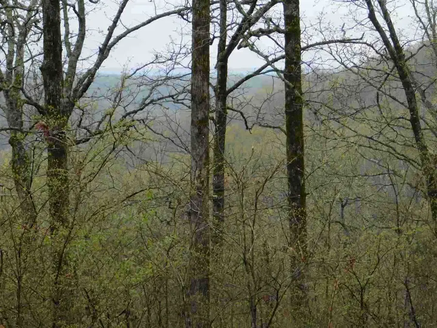 96 acres Powell Hollow Road, Williford, AR 72482 - Image #3