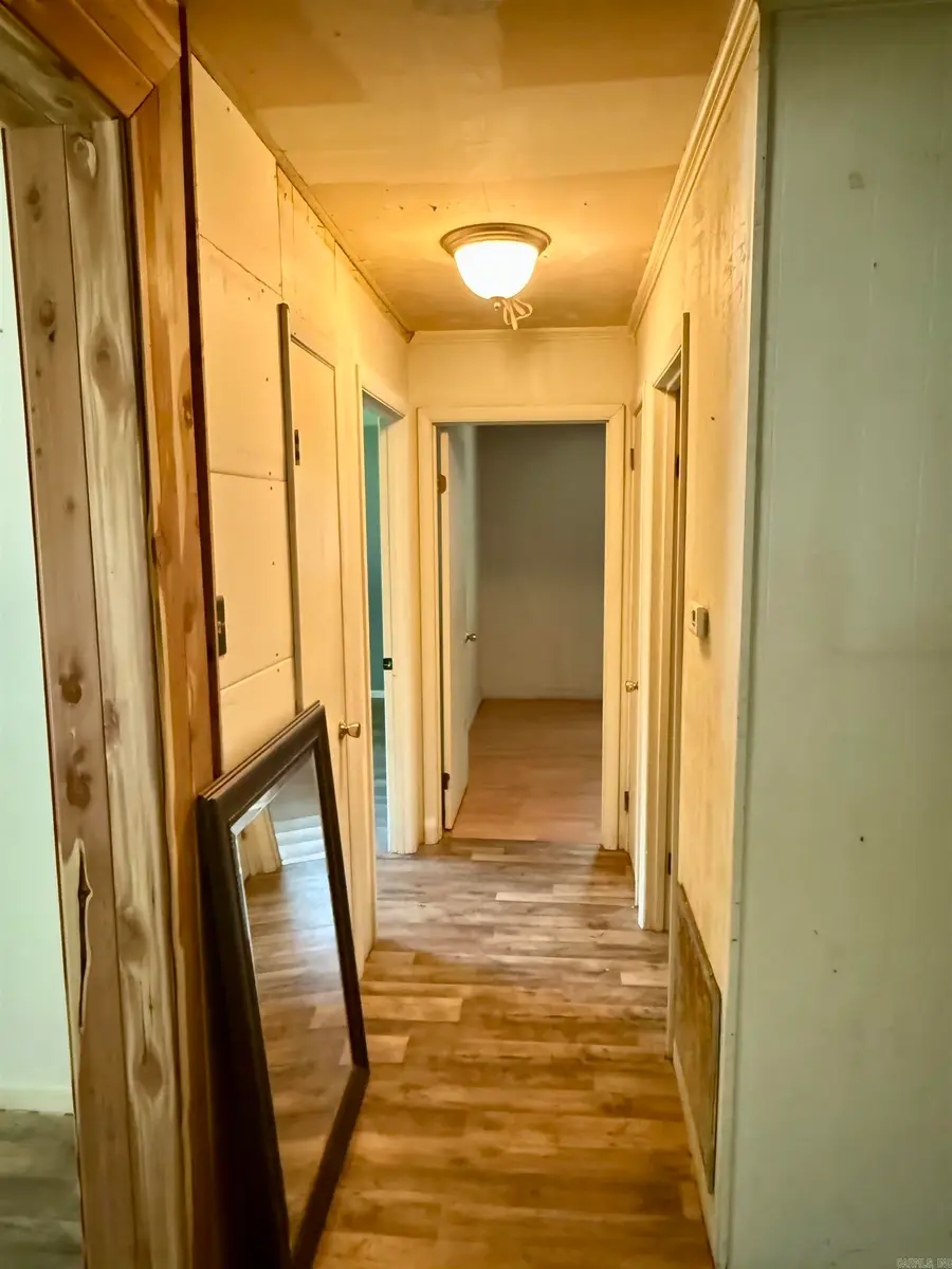 203 Lary Street, Hot Springs, AR 71913 - #3
