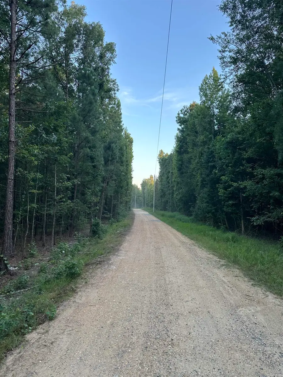 000 Traskwood Road, Glen Rose, AR 72104 - Image #2