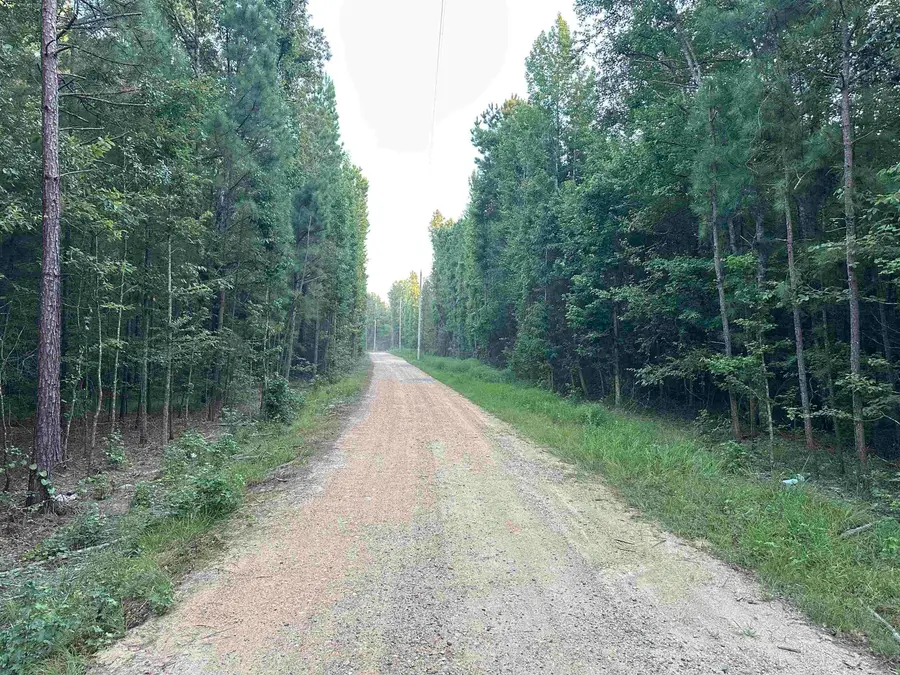 000 Traskwood Road, Glen Rose, AR 72104 - Image #3