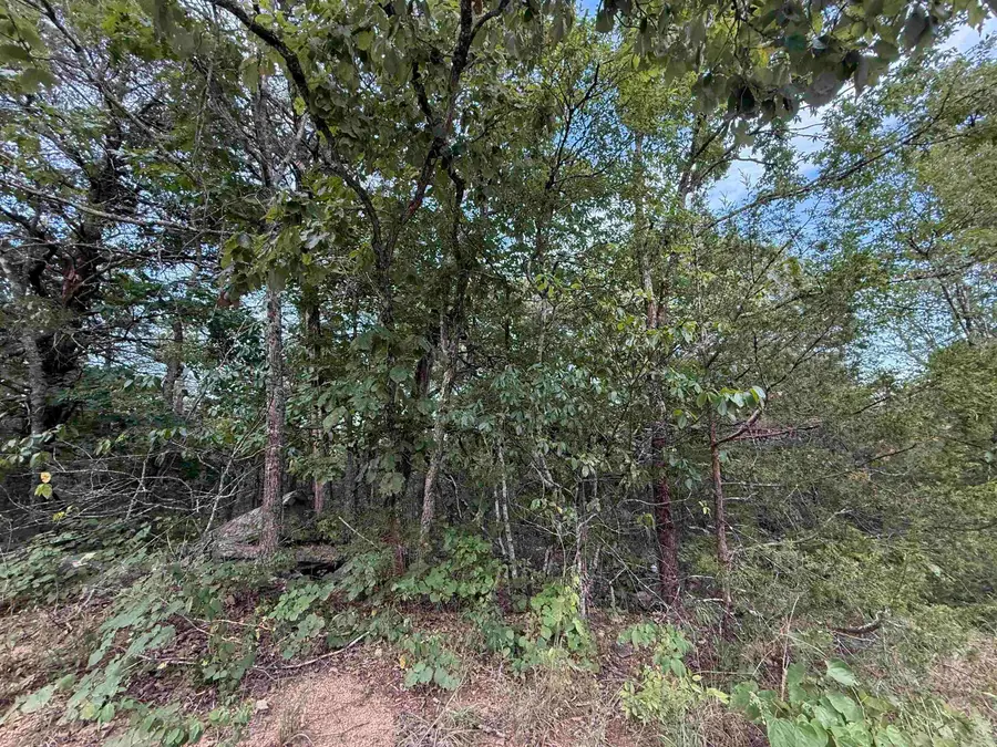 0 Big Buck Lane, Williford, AR 72482 - Image #2