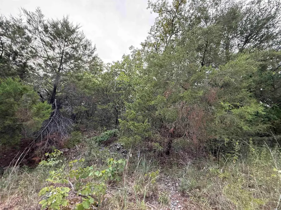 0 Big Buck Lane, Williford, AR 72482 - Image #3