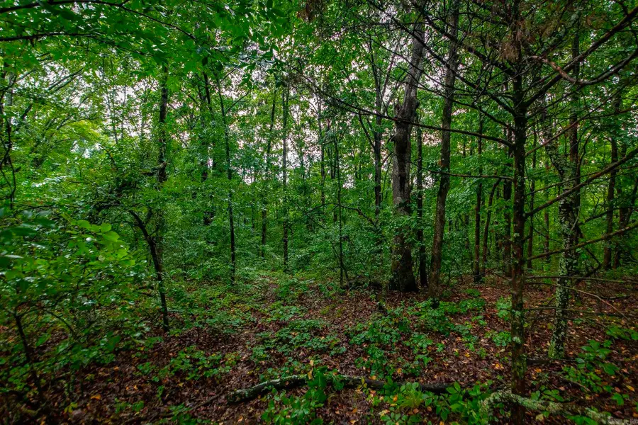 0 Round Spring Road, Clinton, AR 72013 - Image #3