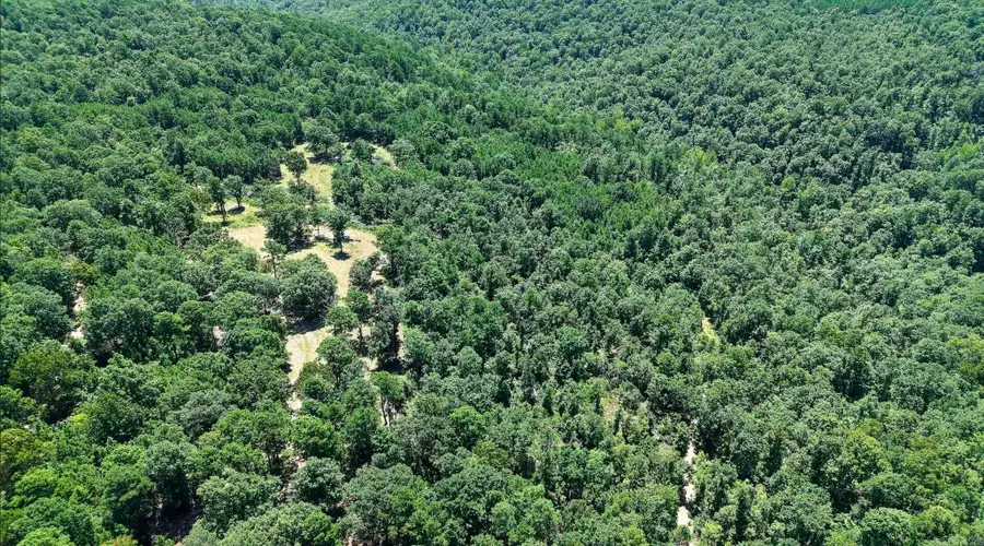 000 Timberline Drive (tract 2), Leslie, AR 72645 - Image #3