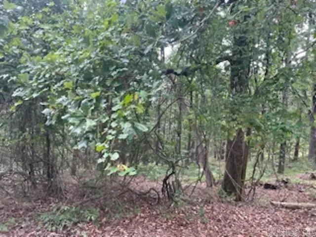 46 Mandarina Way, Hot Springs Village, AR 71909 - Image #2