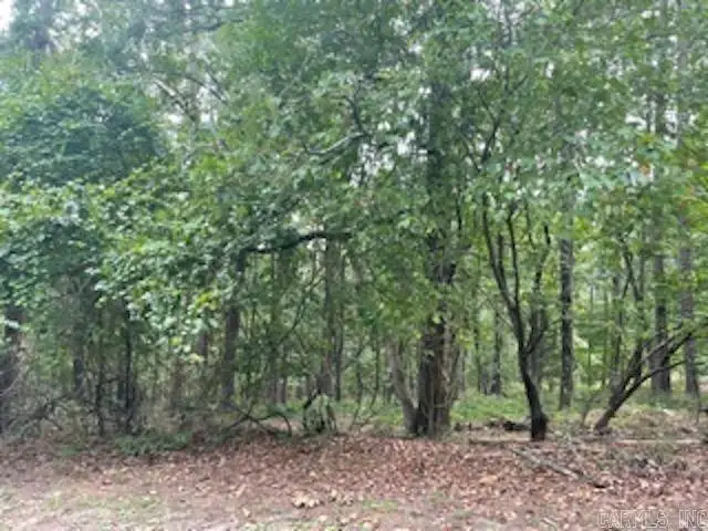 46 Mandarina Way, Hot Springs Village, AR 71909 - Image #3