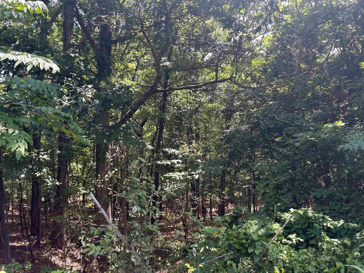 Cr 325, Searcy, AR 72396 - Image #1