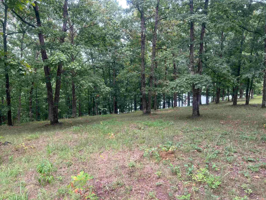 Address Withheld By Seller, Heber Springs, AR 72543 - Image #3